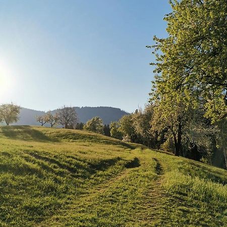 Apartma Lesjak - Pobeg V Naravo Мозирє Екстер'єр фото